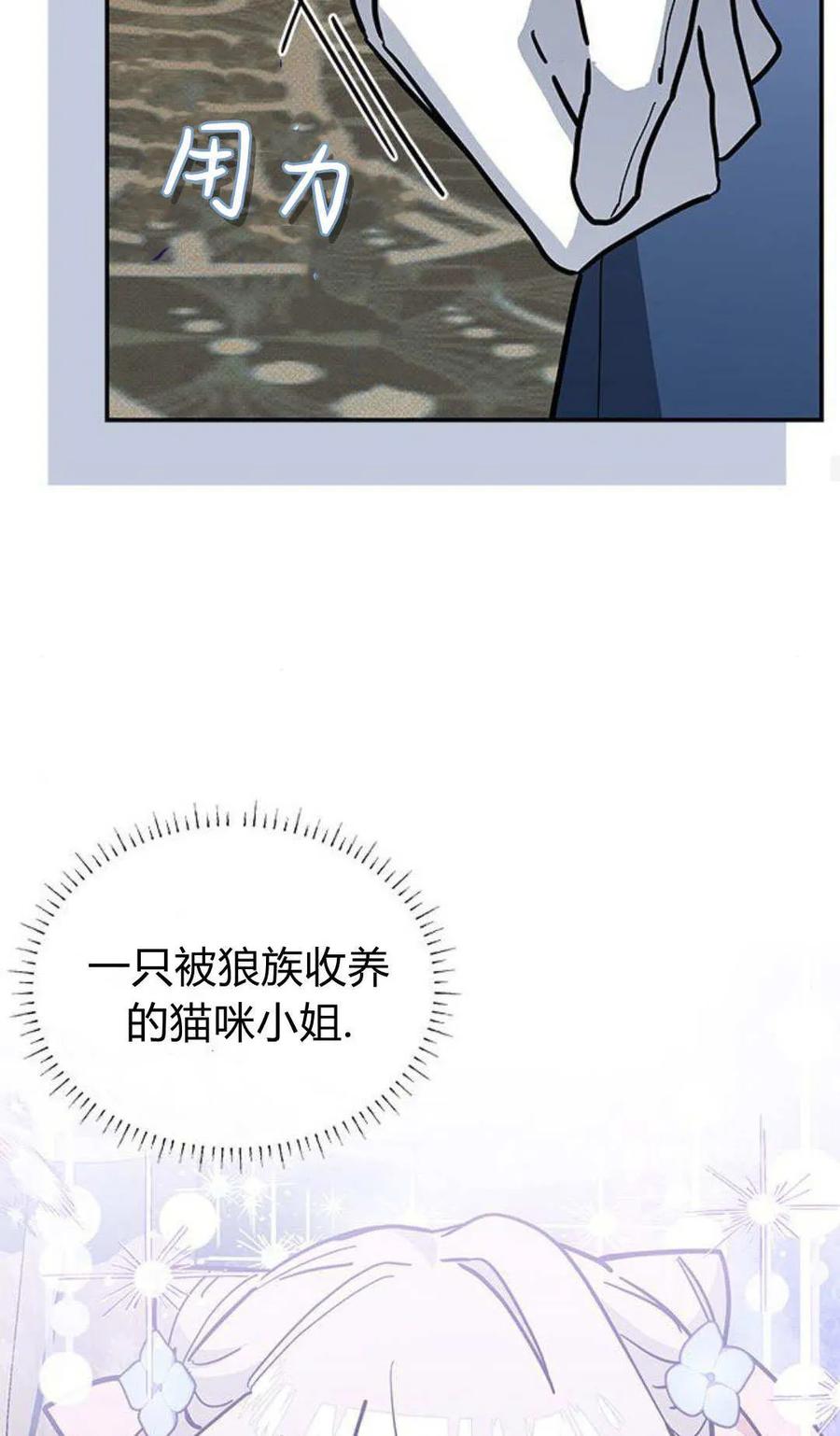 第62话-明明是猫，却被狼族收养了？-노찬주（第38张）