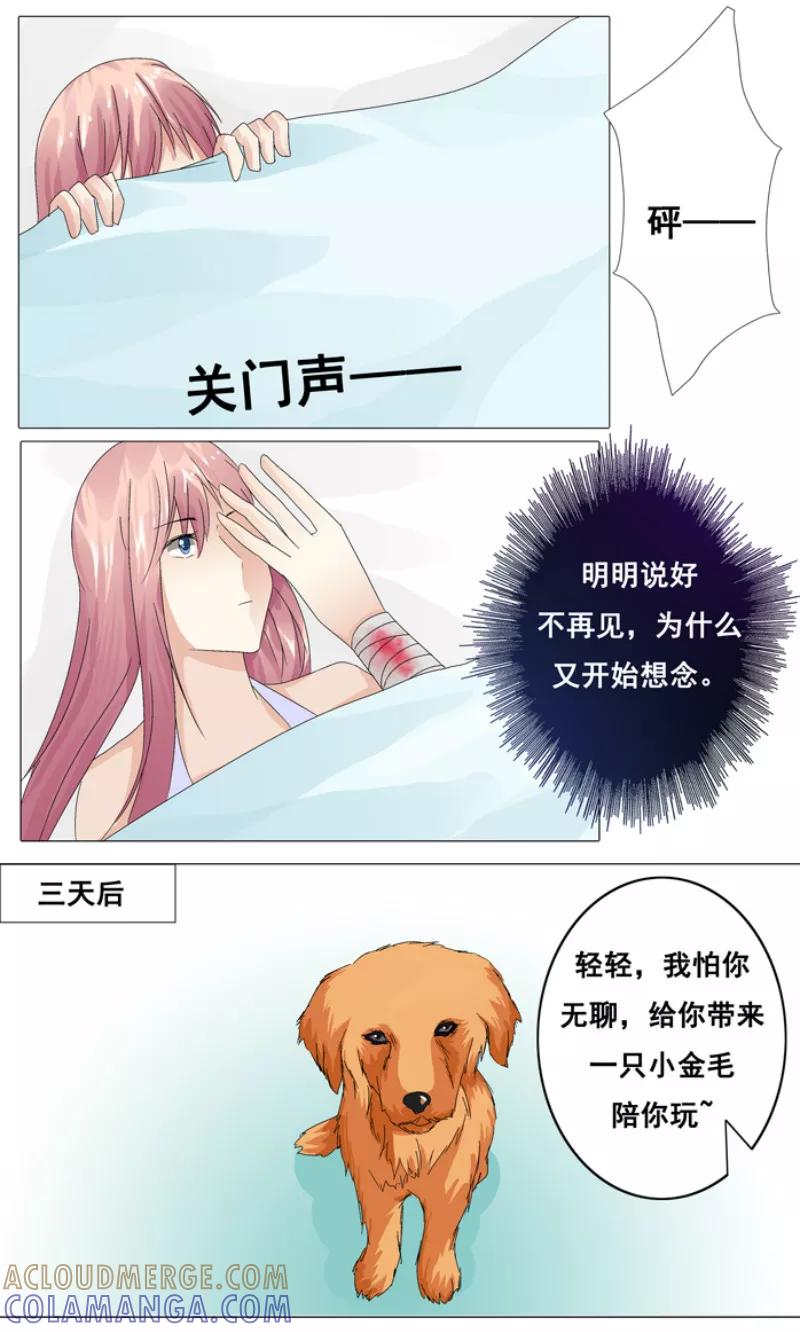 第16话白冷擎死了吗？-你是我的情劫-公主书城（第5张）