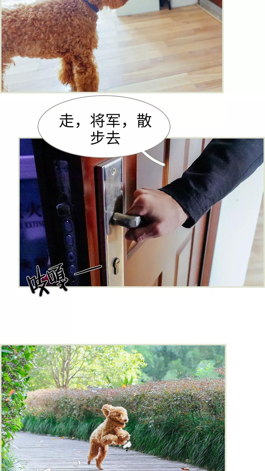 第24话-乖嫩甜妻-剧能玩（第14张）