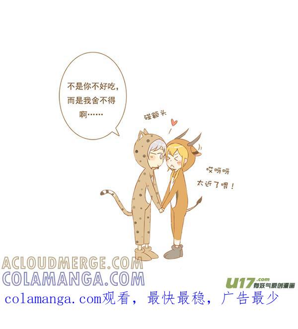 豹和羚-全世界都在谈恋爱-二囬（第4张）