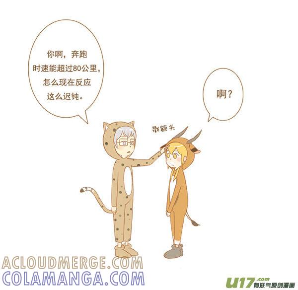 豹和羚-全世界都在谈恋爱-二囬（第3张）