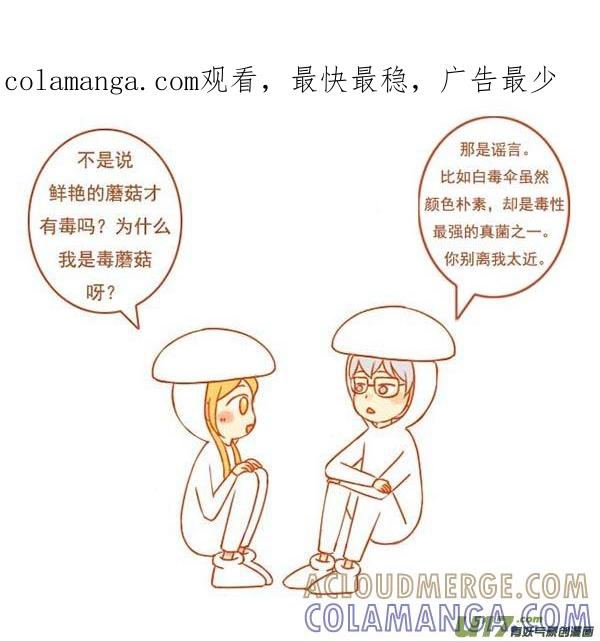 小蘑菇-全世界都在谈恋爱-二囬（第1张）