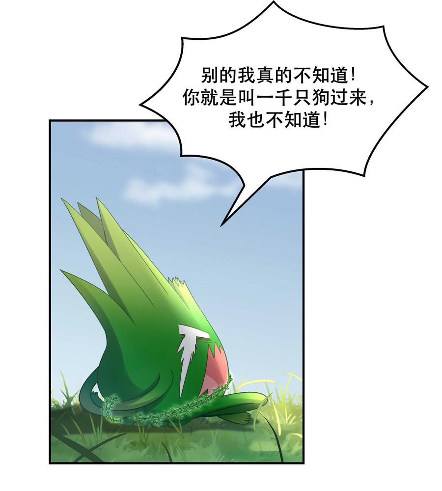 20.jpg