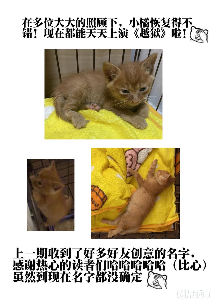 第三十三回-突如其来-僵湖-猫要喝咖啡（第20张）