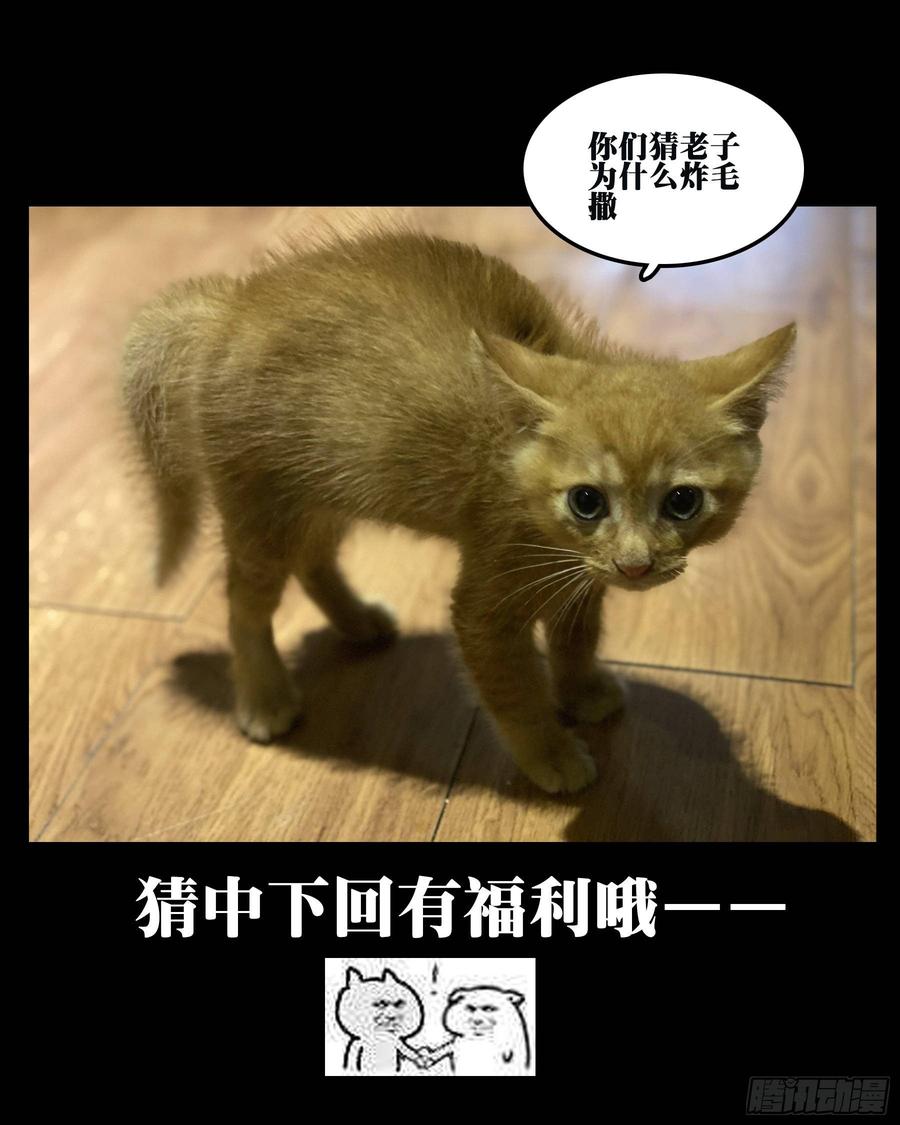 -第三十六回-穷途末路-僵湖-猫要喝咖啡（第18张）