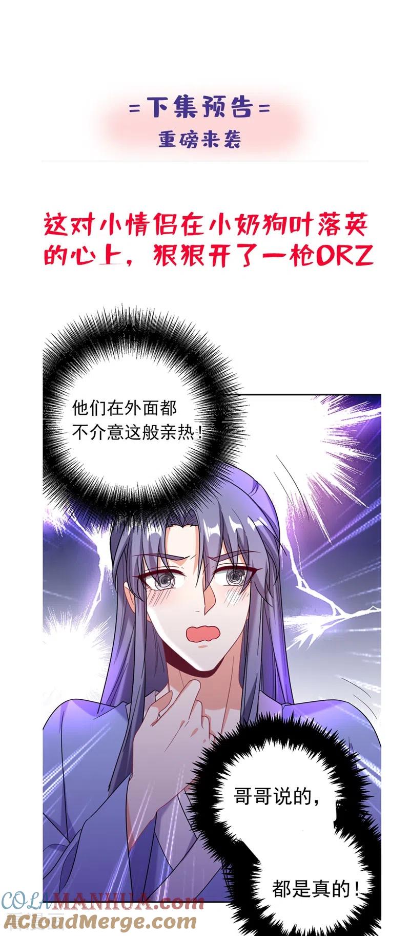 41.jpg