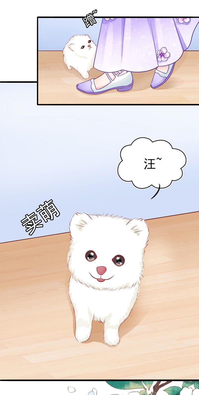 江大小姐-江少要不要嫁过来-馒头君（第21张）