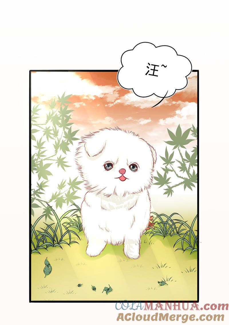 下厨-江少要不要嫁过来-馒头君（第5张）