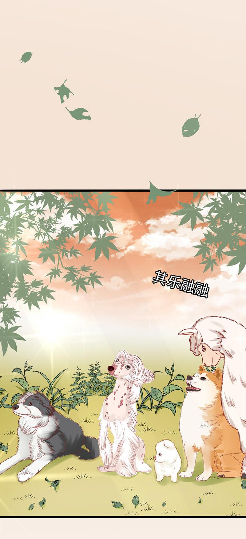 下厨-江少要不要嫁过来-馒头君（第8张）