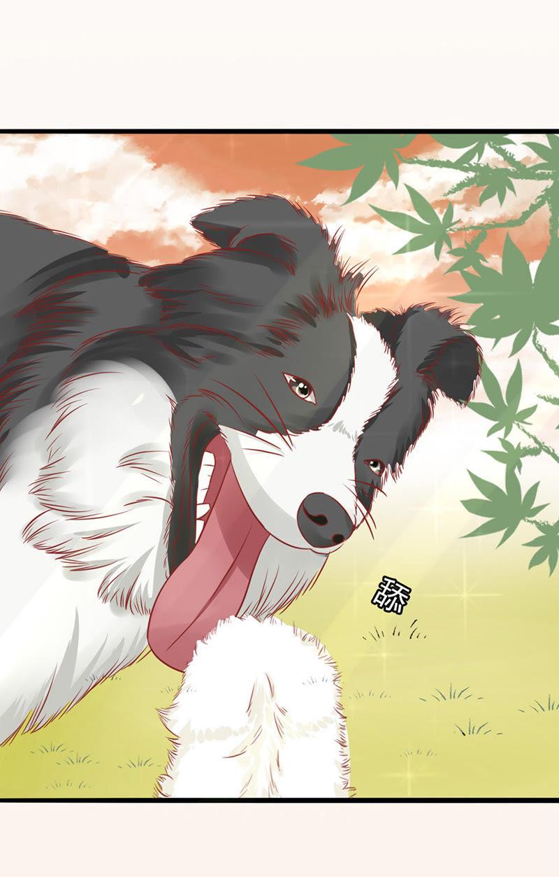 下厨-江少要不要嫁过来-馒头君（第6张）
