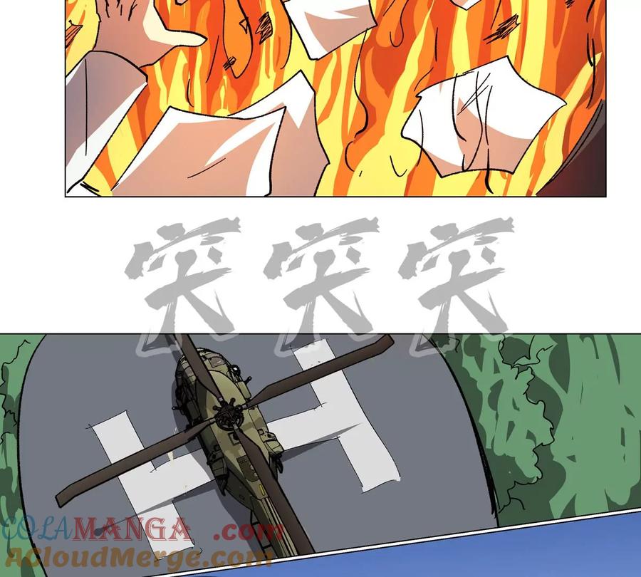 48.jpg