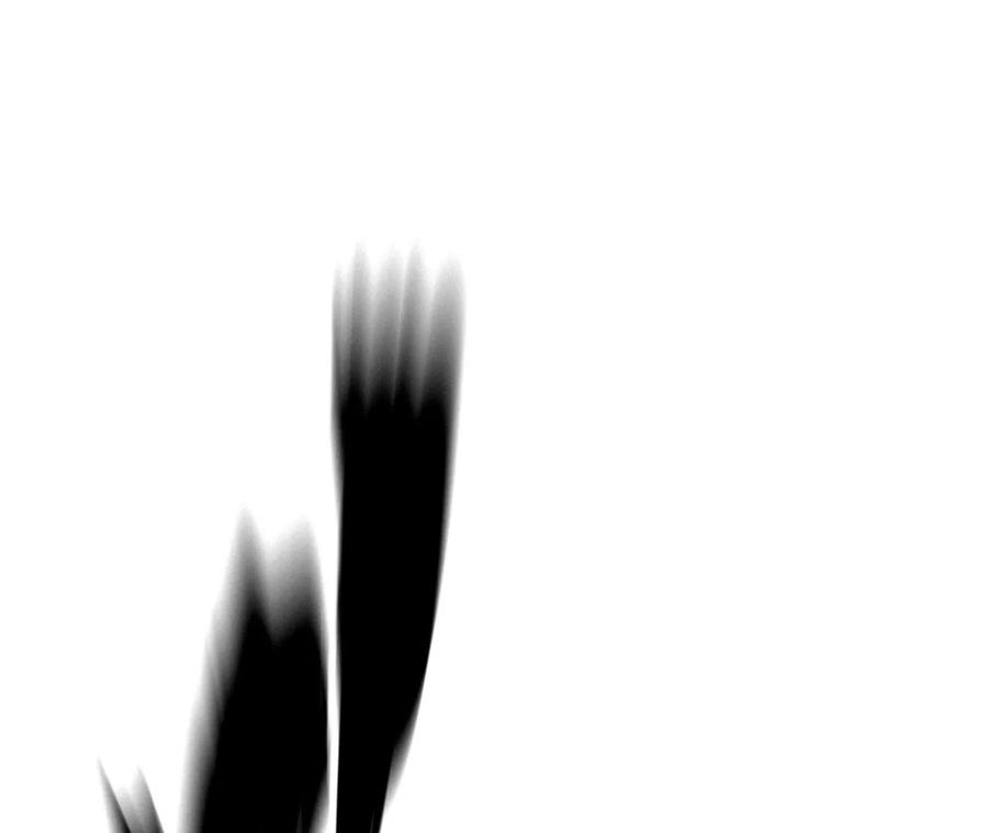 102.jpg