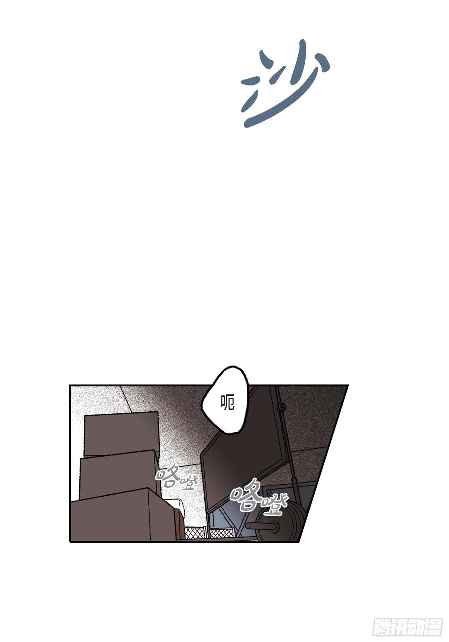 46.jpg