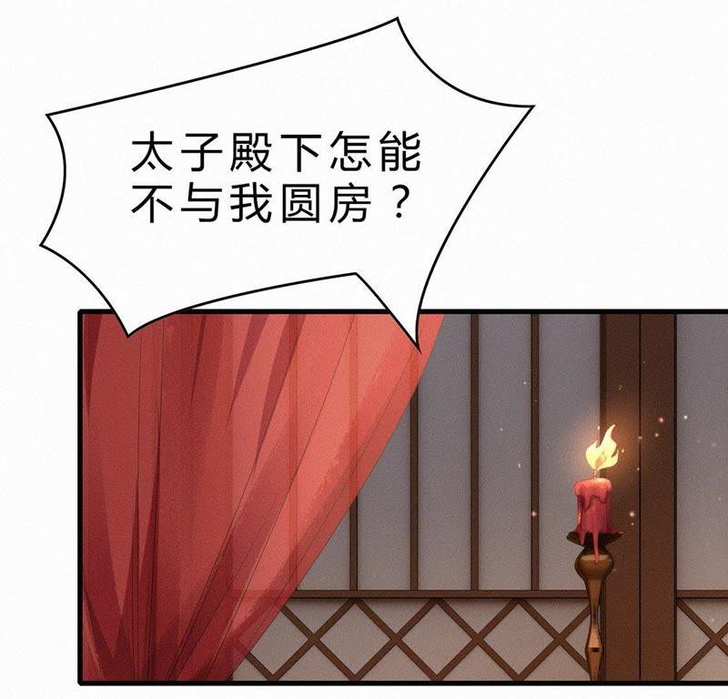 第32话太子不圆房-捡来个黑化大佬-绘火漫画（第4张）