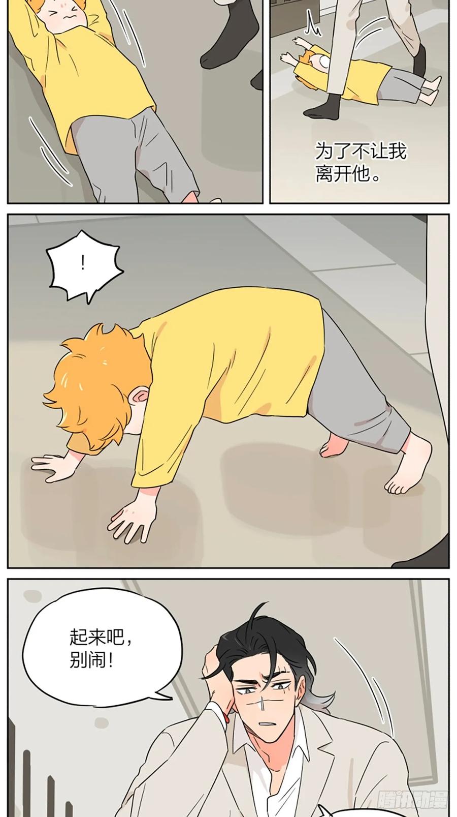 15.jpg