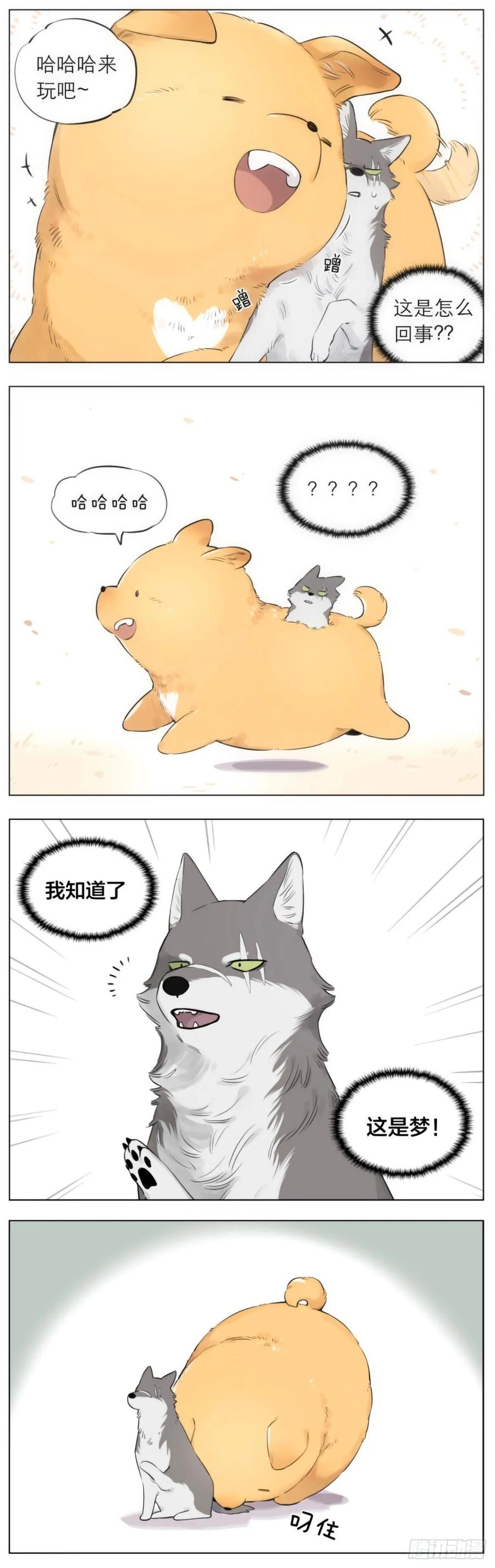 2.jpg