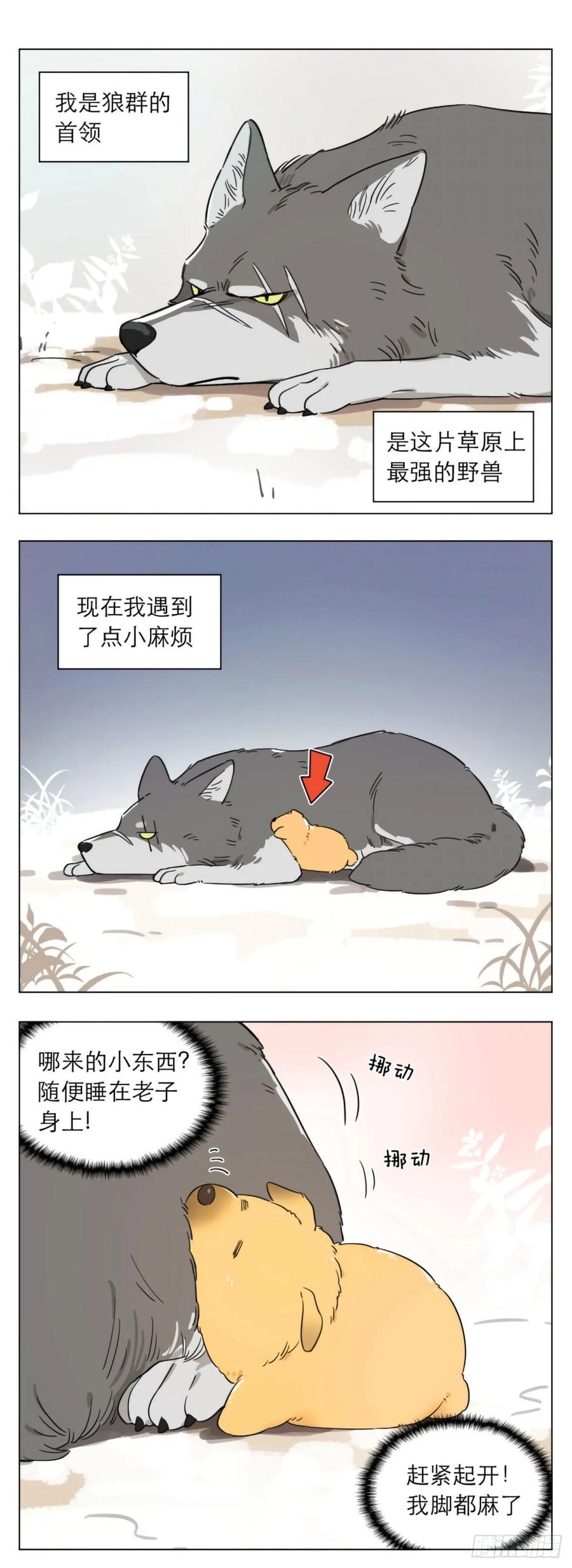1.jpg
