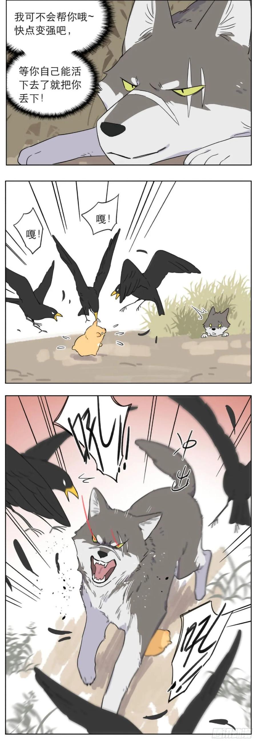 6.jpg