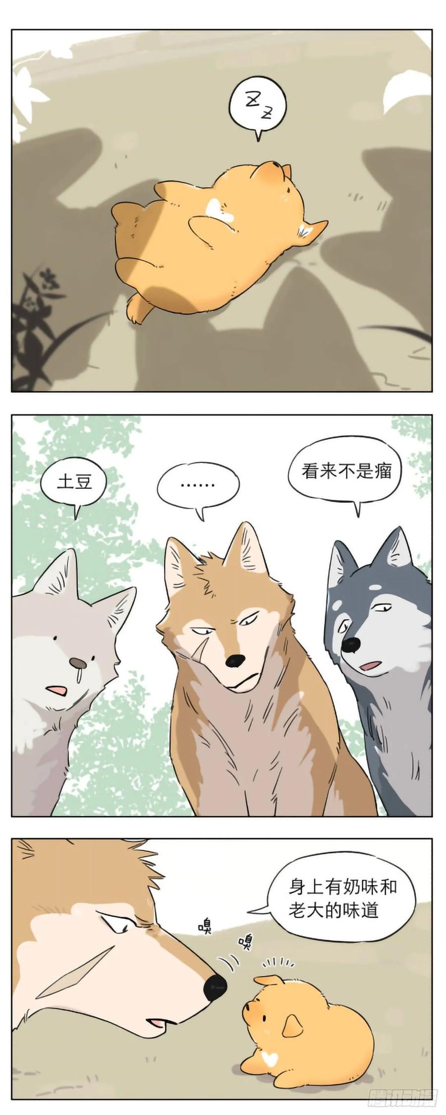 5.jpg