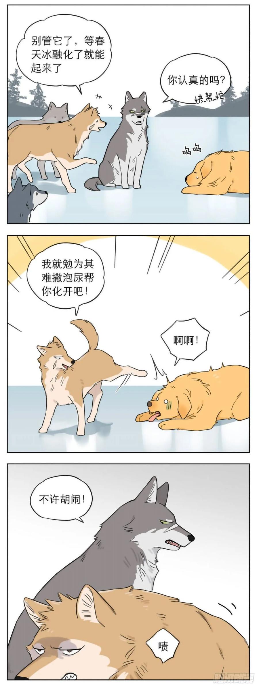 3.jpg