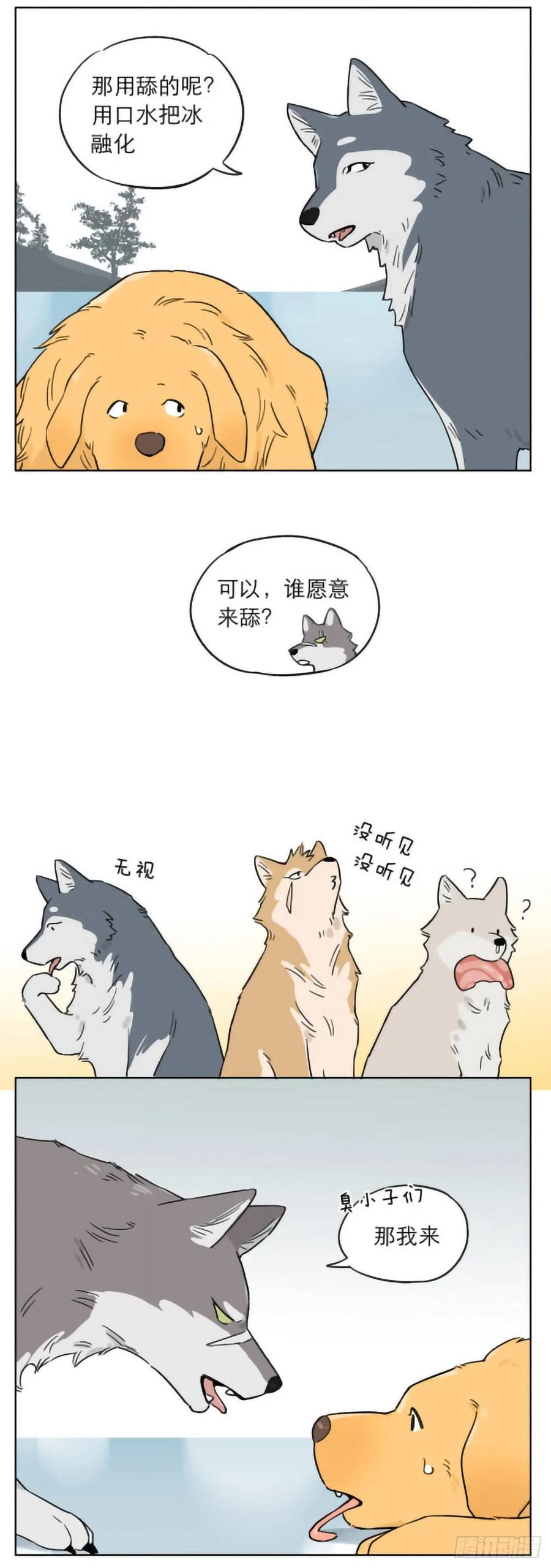 4.jpg