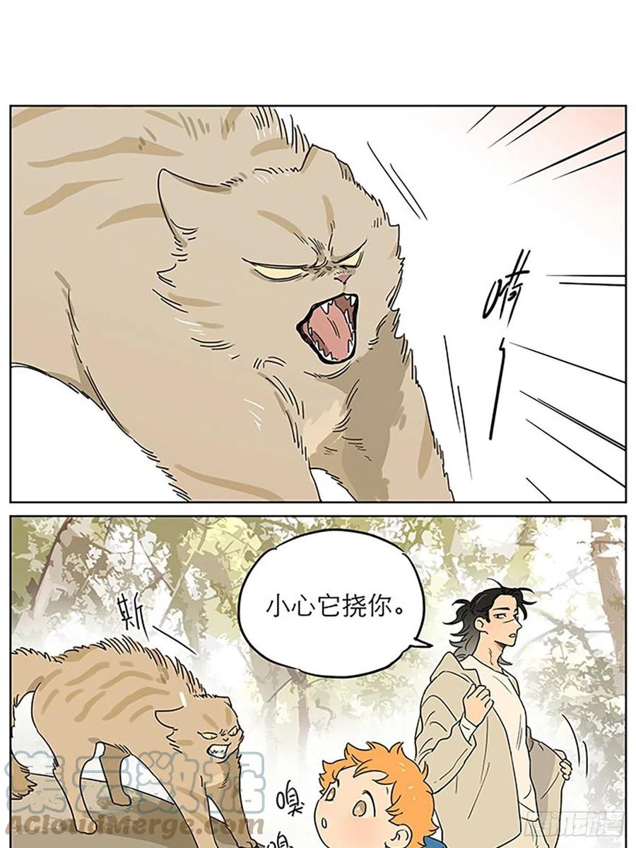 5.jpg