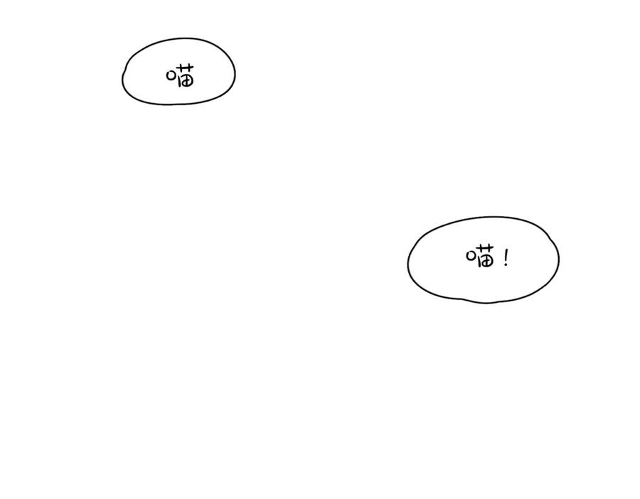 62.jpg