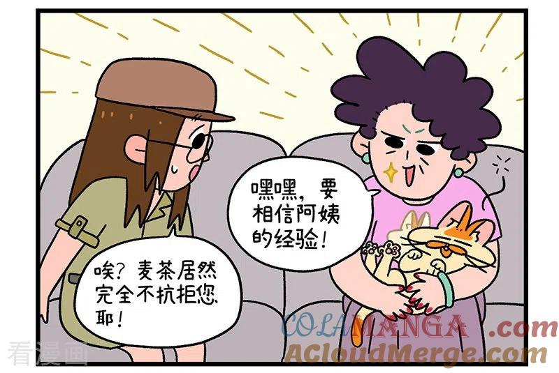 第34话2阿满临行前-阿满和麦茶-新漫画 日胖大海寺（第11张）