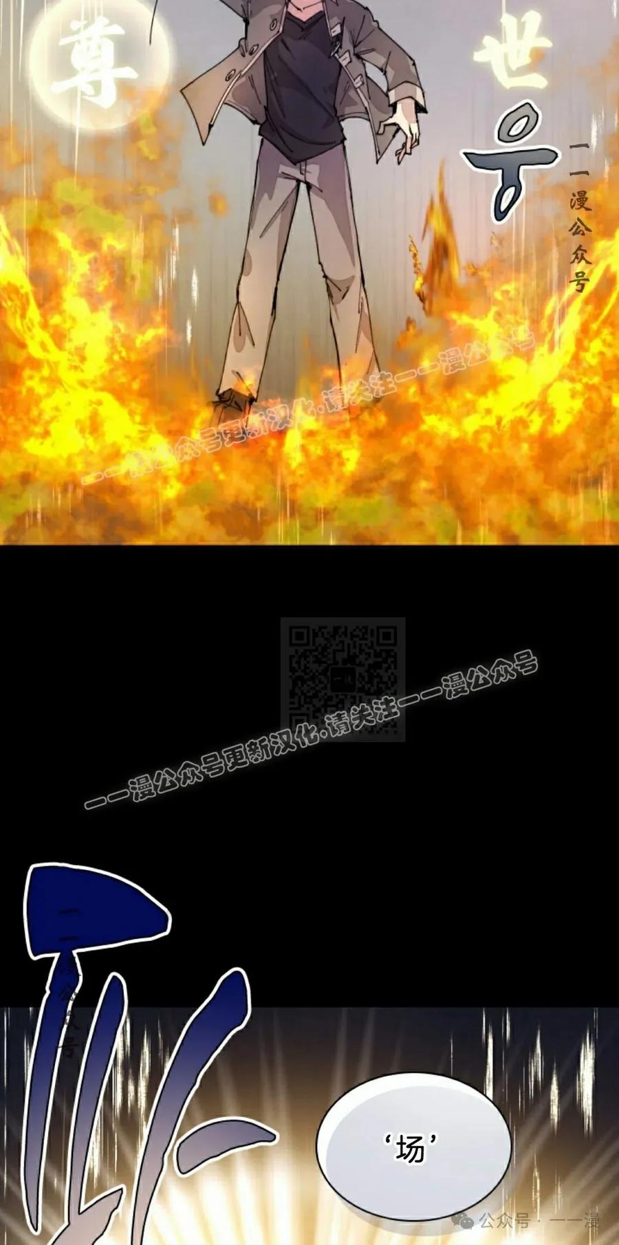 47.jpg