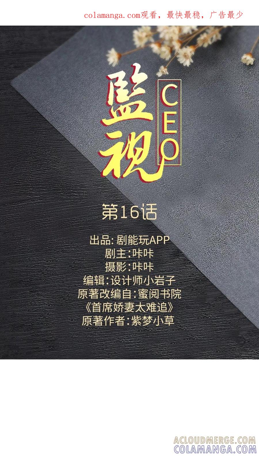 第16话-监视CEO-剧能玩（第1张）