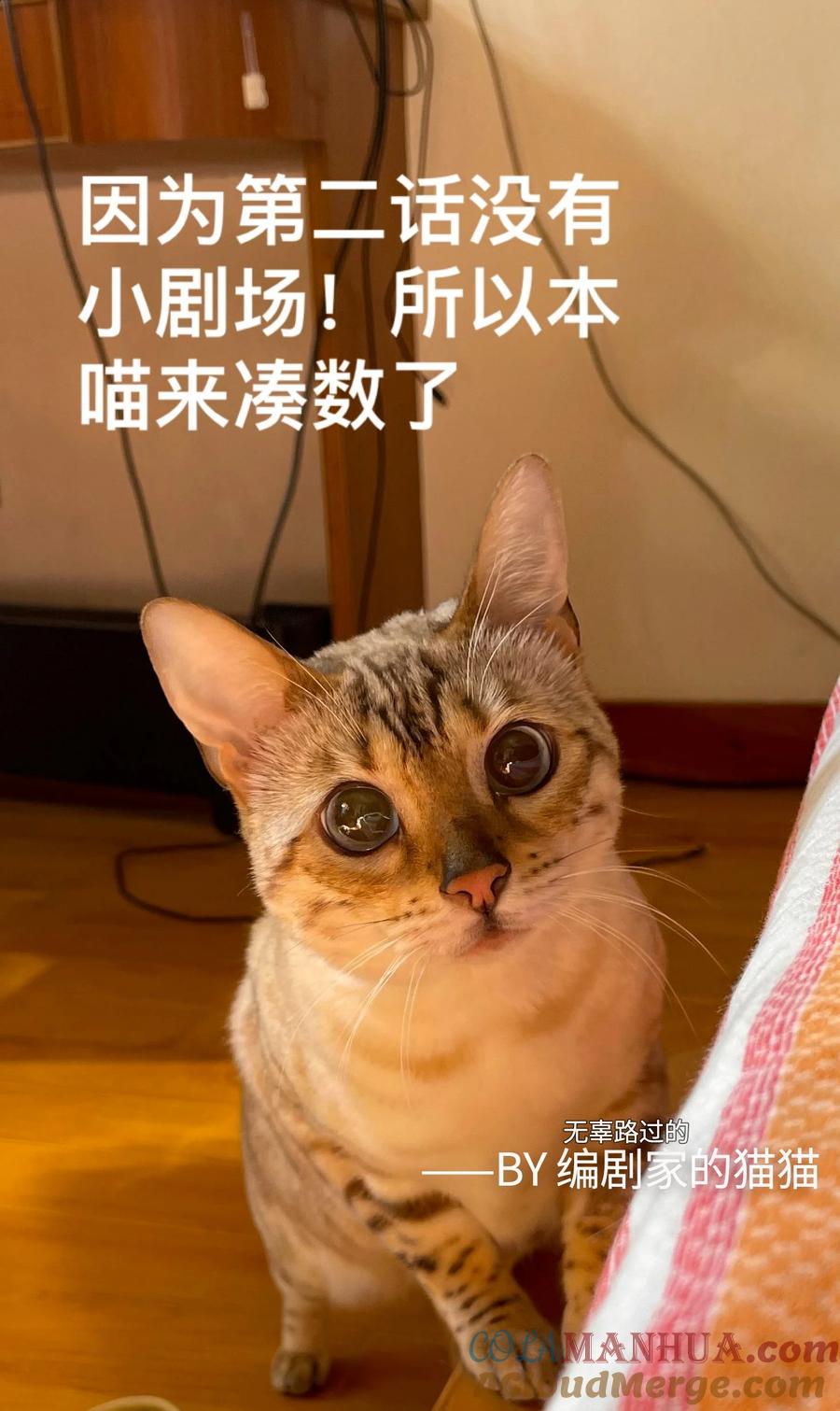39.jpg