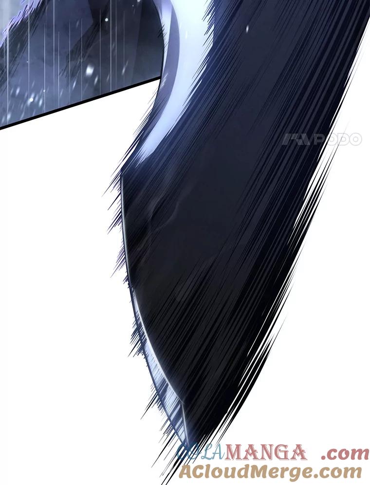 113.jpg