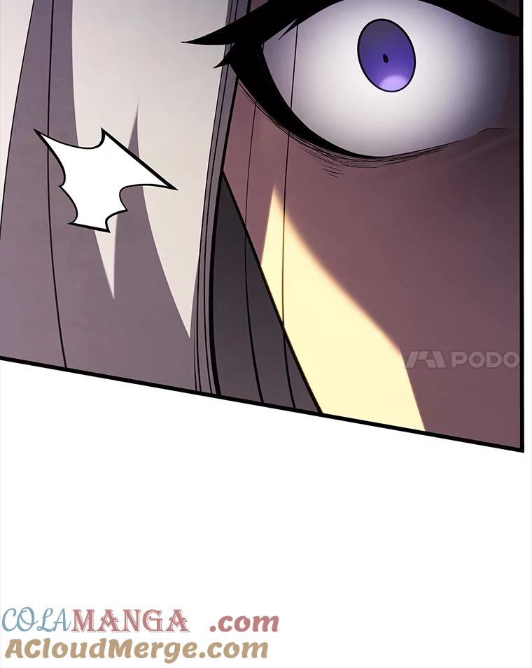81.jpg