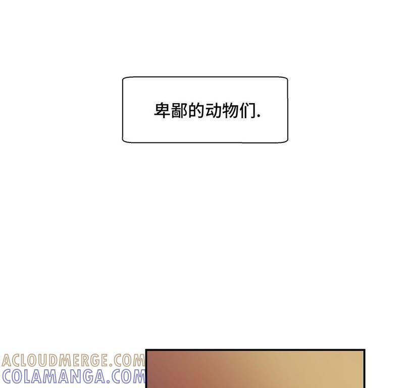 第十三话惹事猪-奇妙的动物高中-一漫文化（第49张）