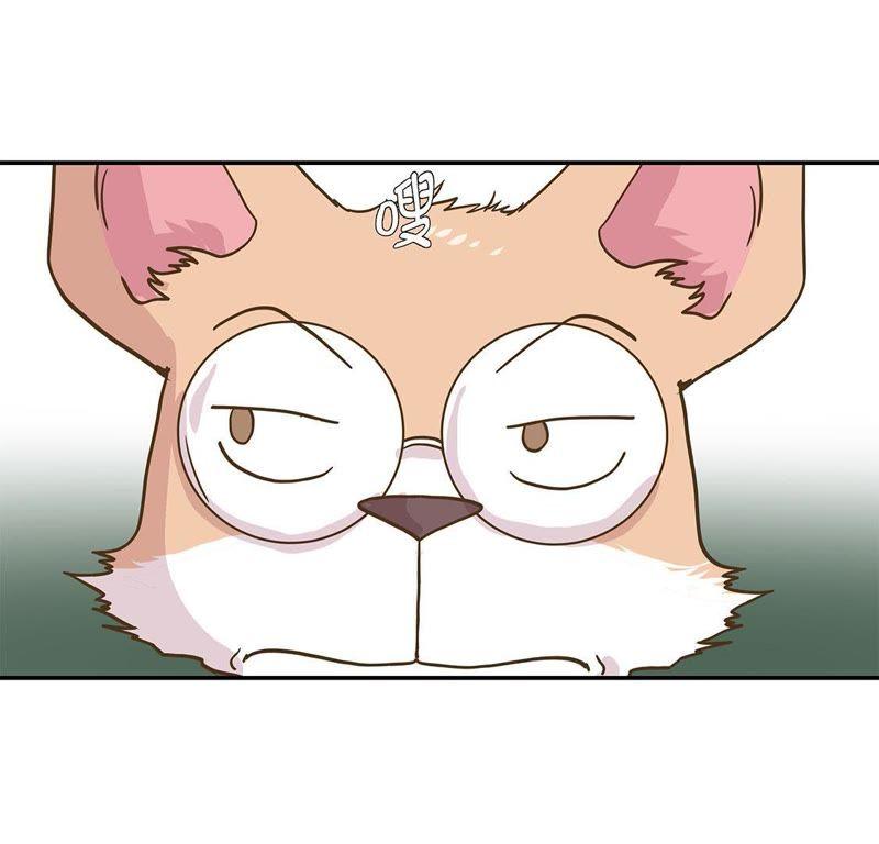 第十六话狮子莱昂-奇妙的动物高中-一漫文化（第11张）