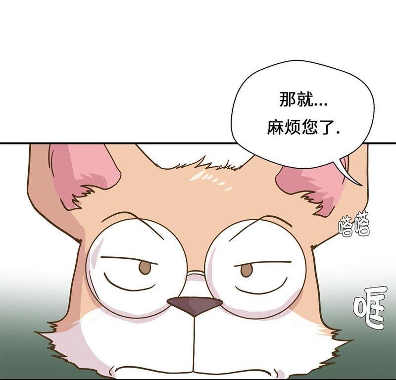第十六话狮子莱昂-奇妙的动物高中-一漫文化（第9张）