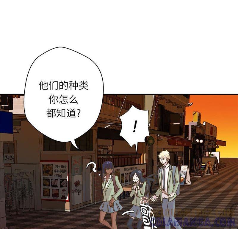 第十六话狮子莱昂-奇妙的动物高中-一漫文化（第43张）