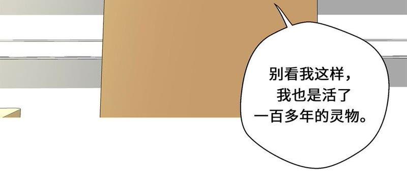 第八话展示能力吧（上）-奇妙的动物高中-一漫文化（第38张）