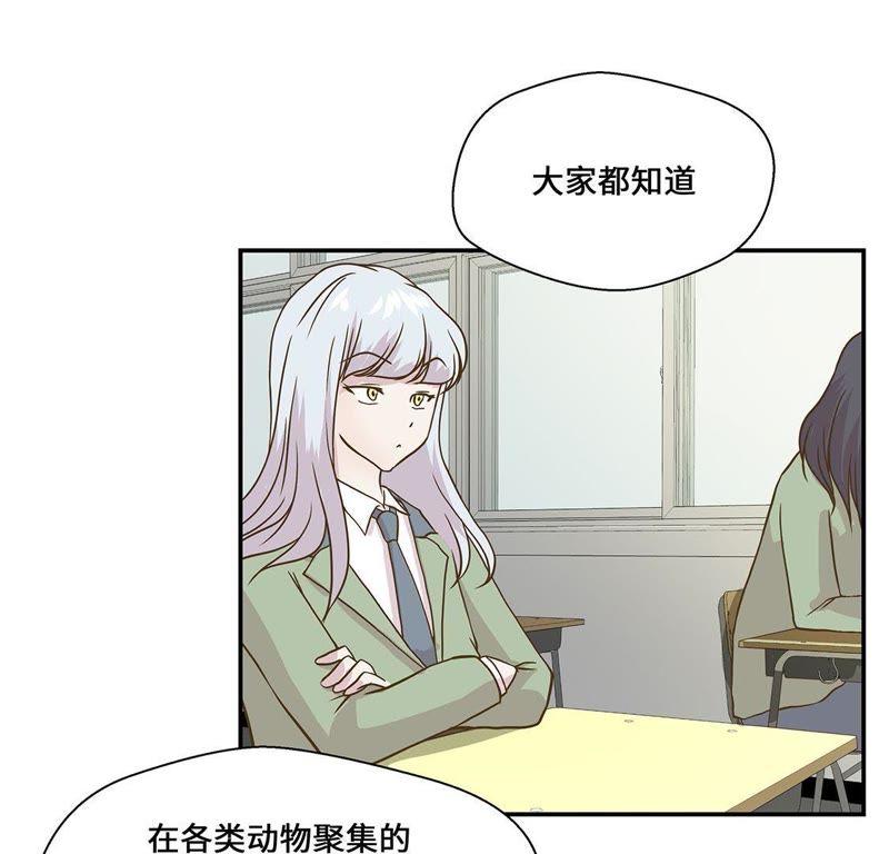 第八话展示能力吧（上）-奇妙的动物高中-一漫文化（第41张）