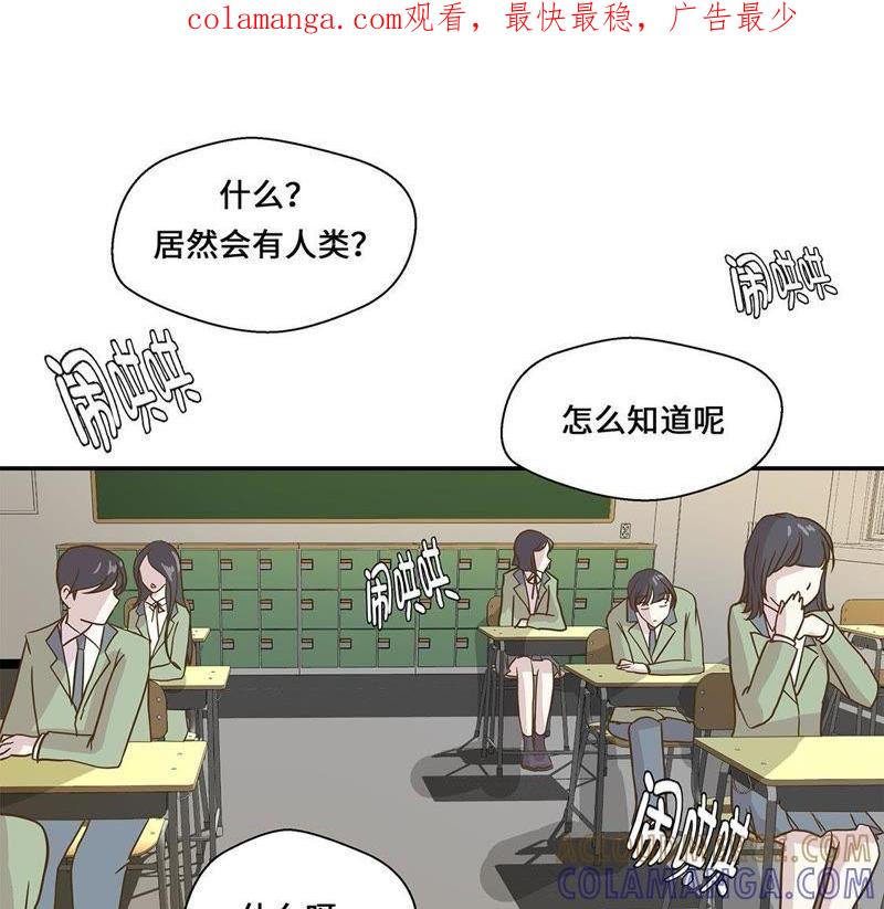 第九话展示能力吧（下）-奇妙的动物高中-一漫文化（第1张）