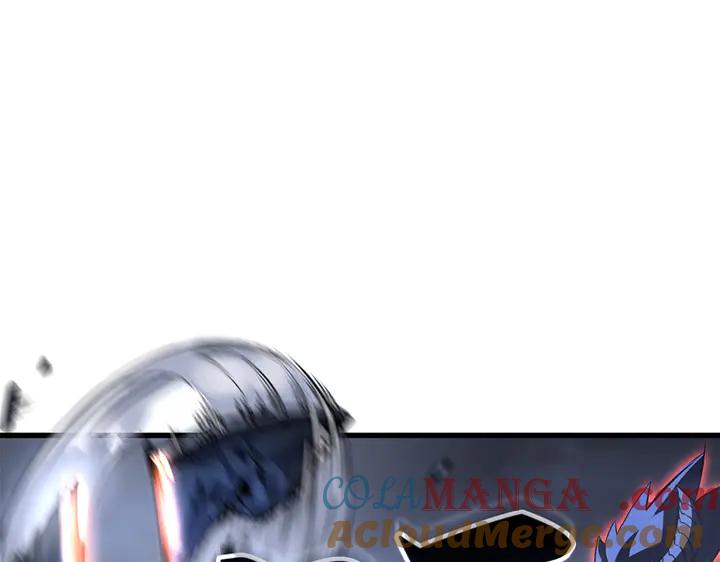 113.jpg