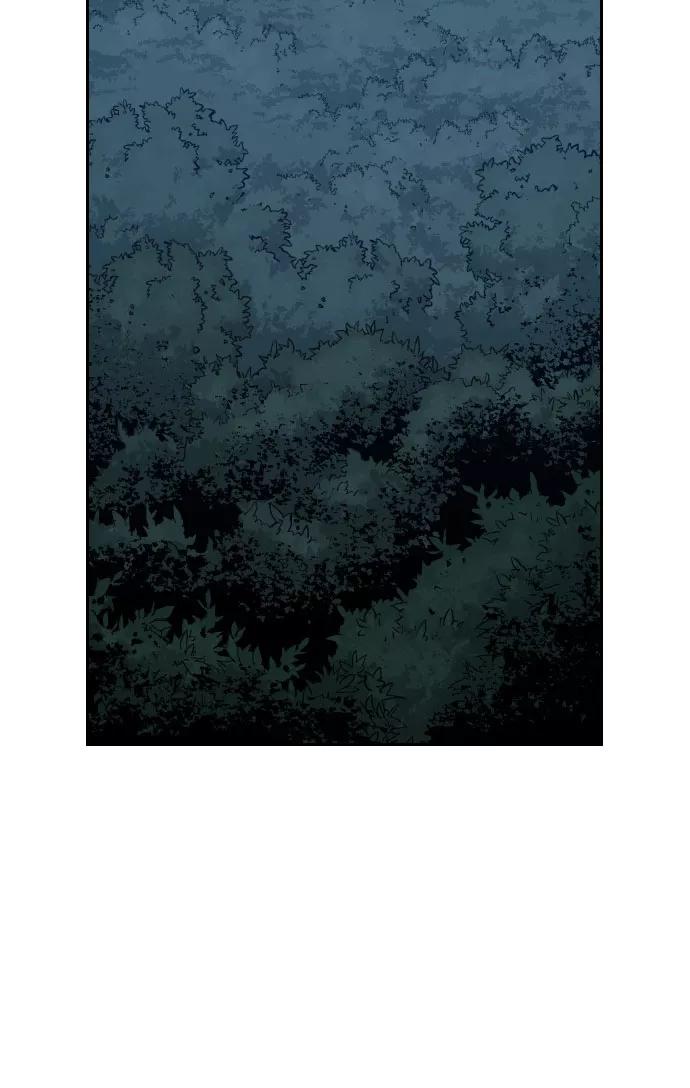 78.jpg