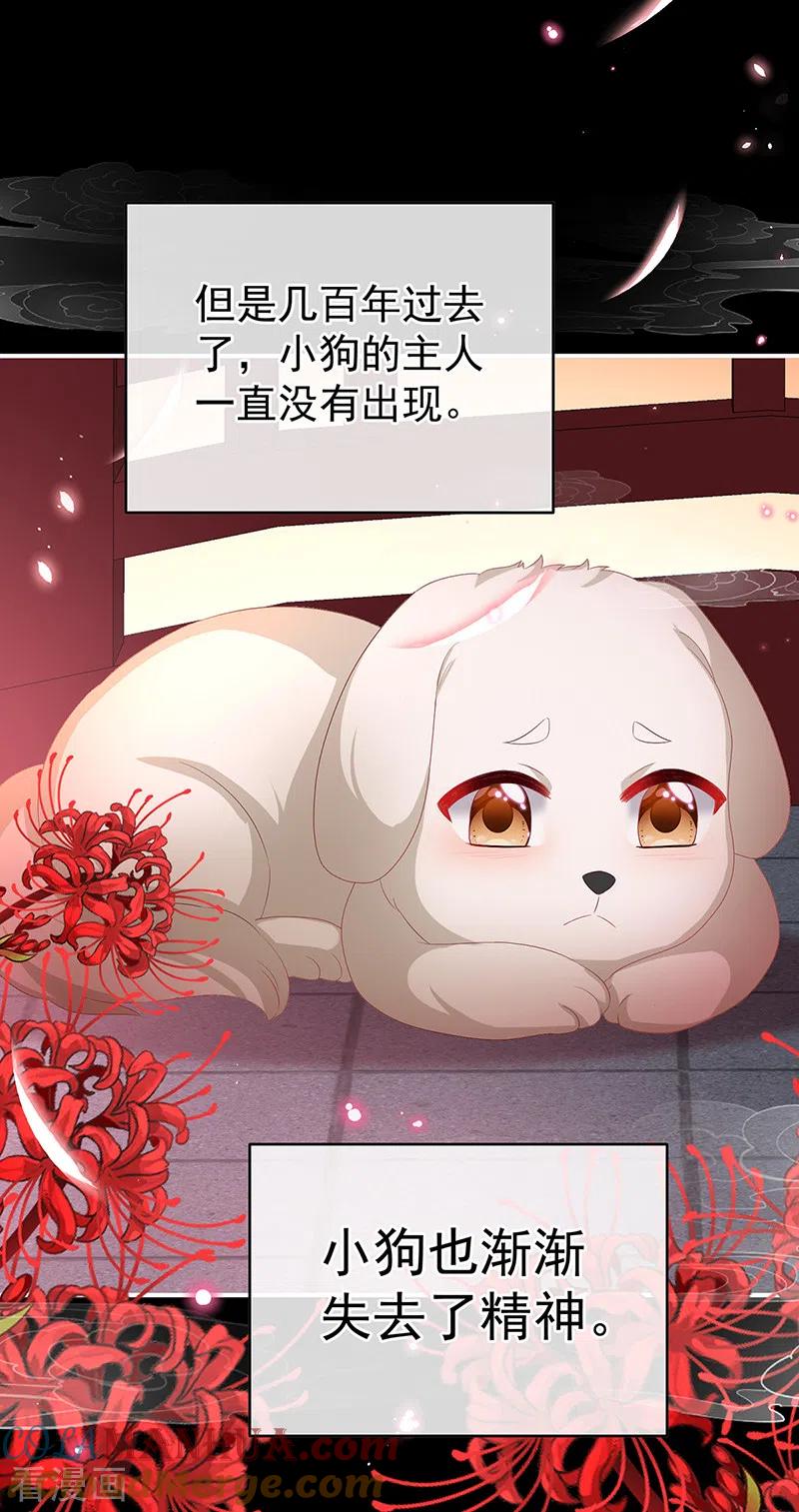 第141话你就是那只狗！-娇夫有喜-拂晓联盟 Morel 扶摇文化（第17张）