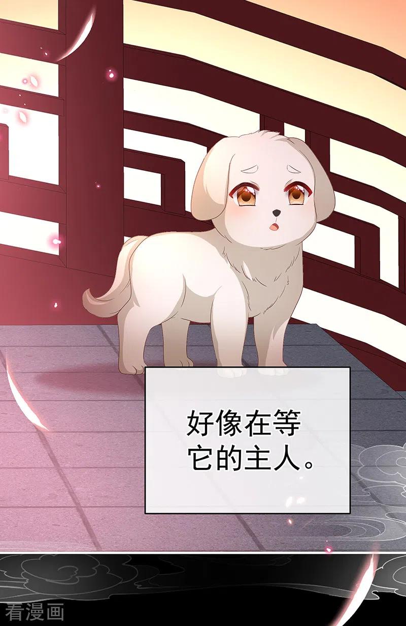 第141话你就是那只狗！-娇夫有喜-拂晓联盟 Morel 扶摇文化（第16张）