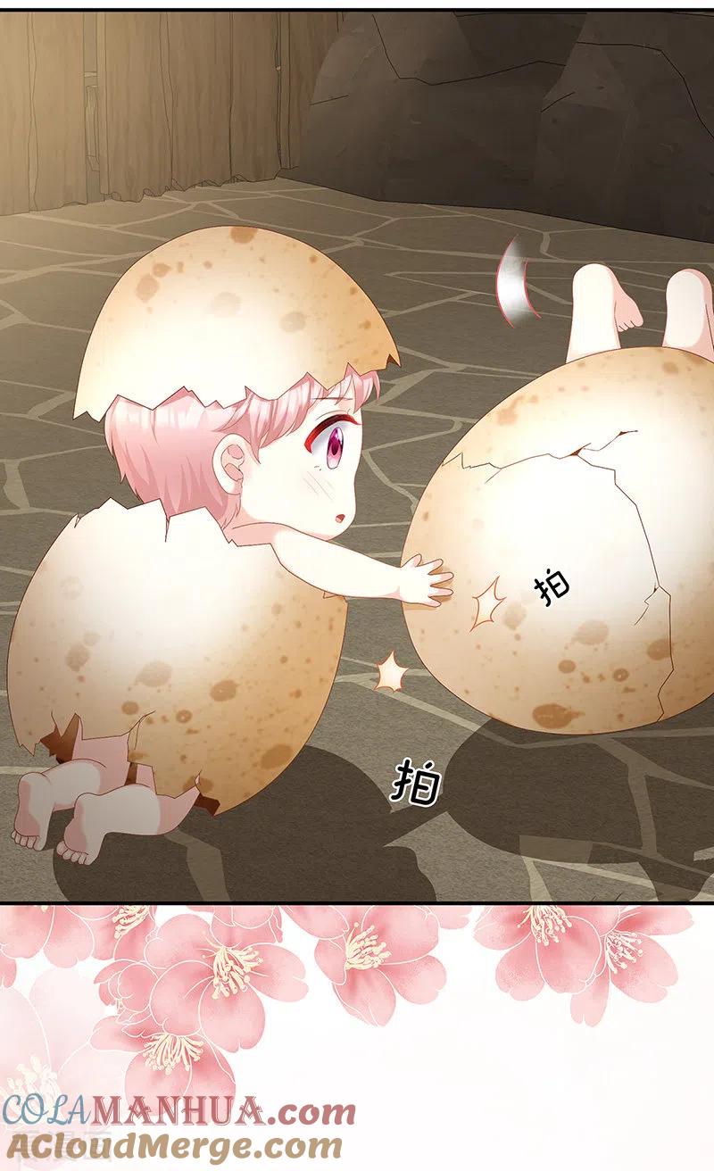 第62话孩子孵出来了！-娇夫有喜-拂晓联盟 Morel 扶摇文化（第19张）