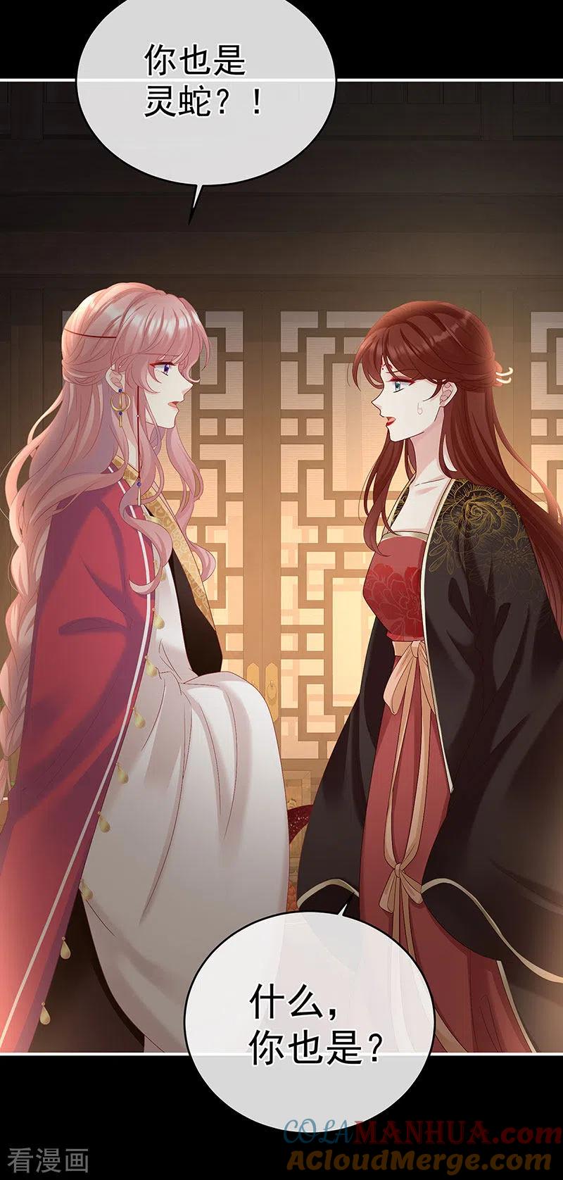 第71话生很多蛇宝宝-娇夫有喜-拂晓联盟 Morel 扶摇文化（第21张）