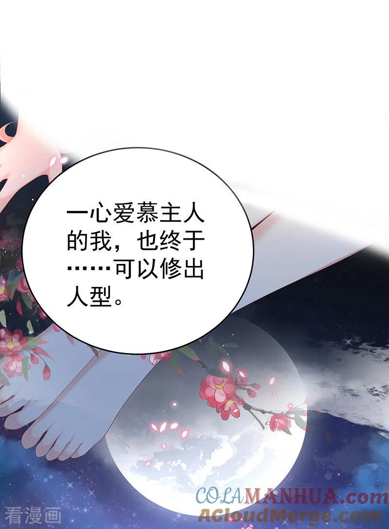 第77话还想要几个孩子-娇夫有喜-拂晓联盟 Morel 扶摇文化（第11张）