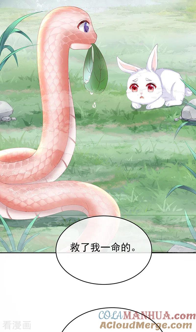 第90话不愿再到人间-娇夫有喜-拂晓联盟 Morel 扶摇文化（第21张）