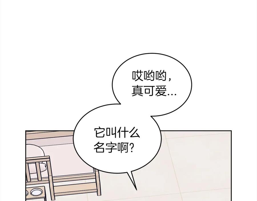 第19话试吃小零食-单色谣言-momoko + 12929, NORANG + Chiyul（第4张）