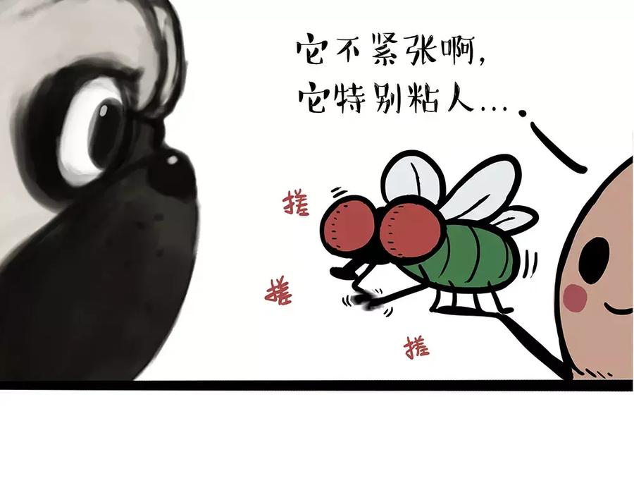 48.jpg